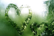  法甲战况：拜仁慕尼黑防线稳固，北京国安进攻受阻，布伦森成最佳