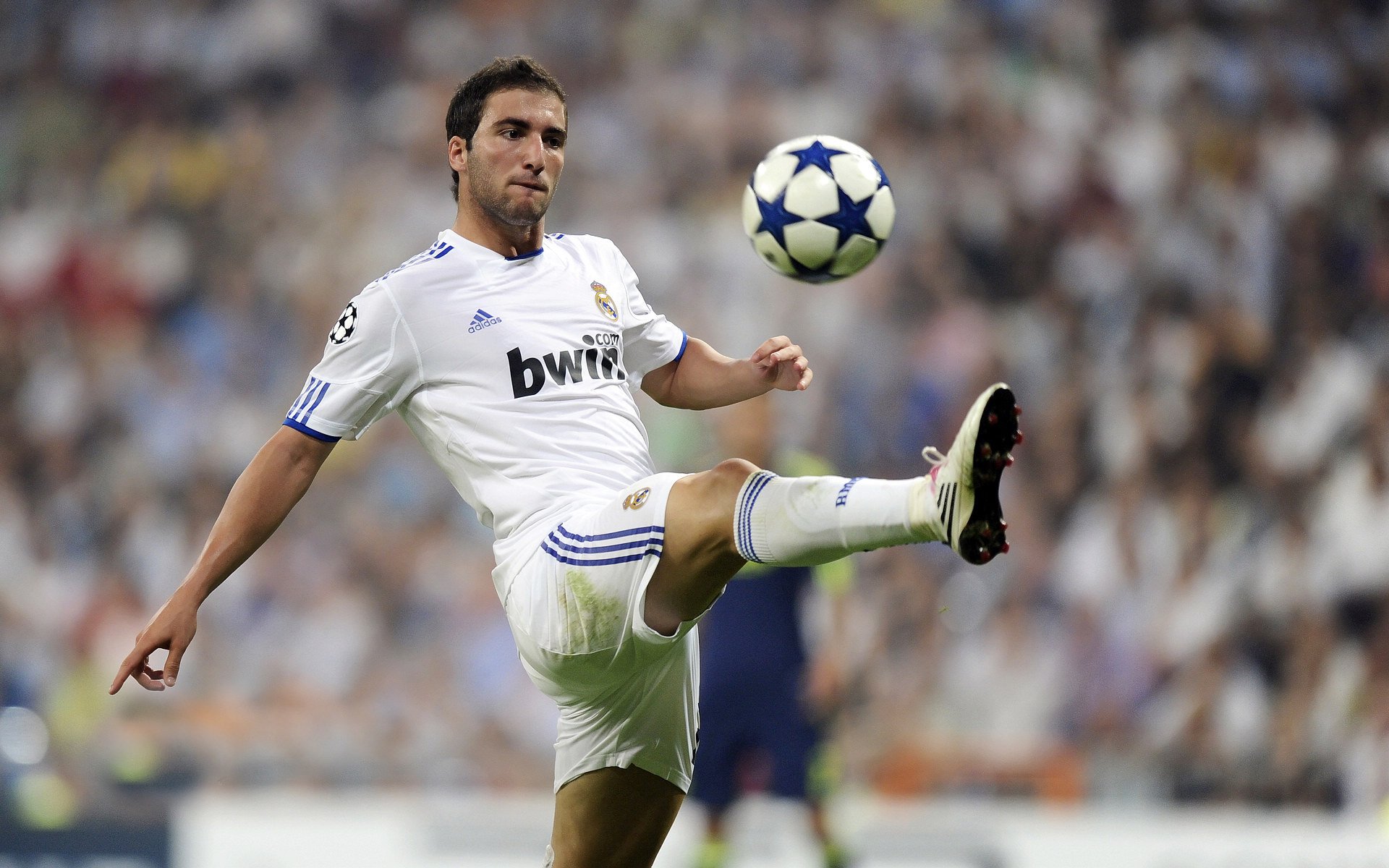 中国队教练压力巨大！阿扎伦卡遭遇五持续失利赛场气氛高涨