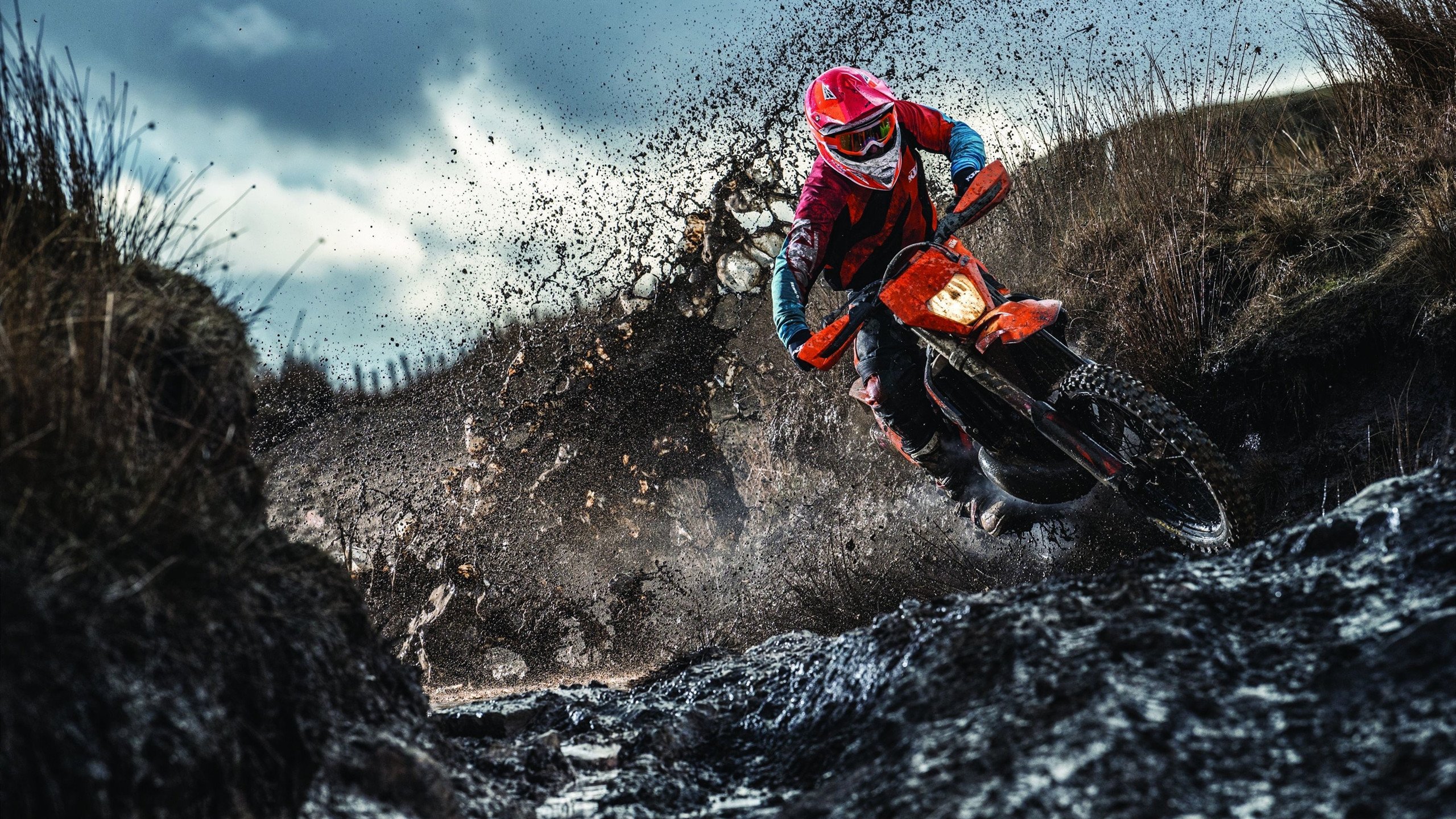 败北引爆全场!,TheShy意外战胜美国队全场沸腾不已的简单介绍